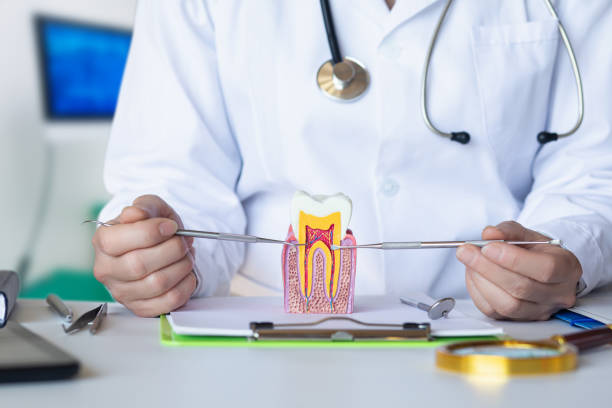 Best Emergency Dental Care for Abscessed Tooth in Green Cove Springs, FL